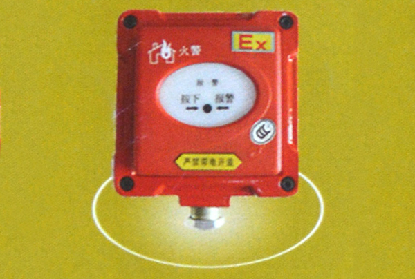 �����ֶ����ֱ�����ť