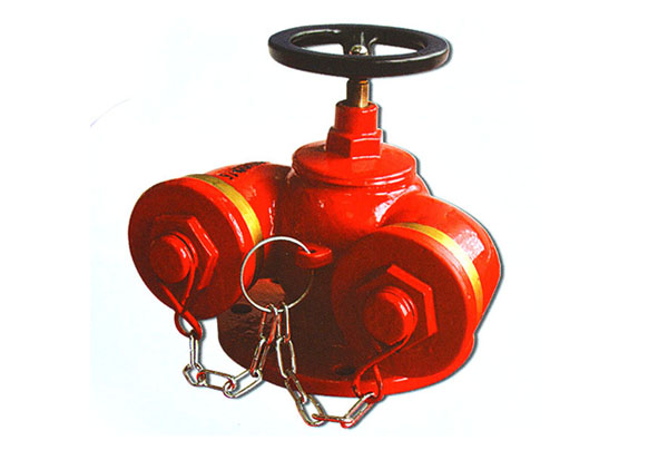 SQD100-1.6 SQD150-1.6����ʽ����ˮ�ýӺ���