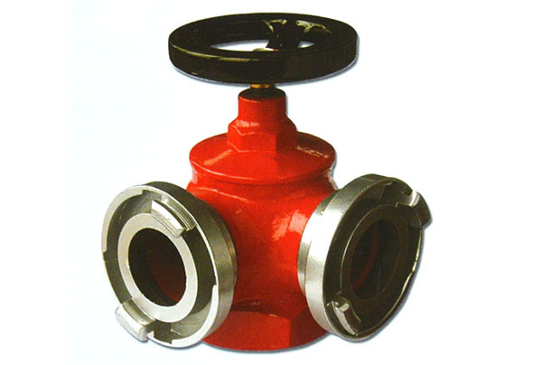 SNSS50��65˫��˫������������˨